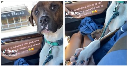 VIDEO Udomljeni pas cijelim putem kući držao svoju novu vlasnicu za ruku