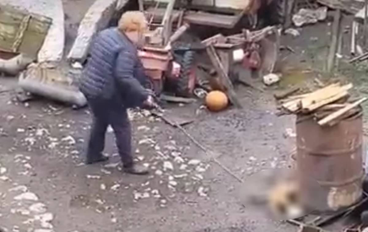 U Srbiji nasmrt pretukla štene štapom, nastavila ga udarati i kad je uginulo