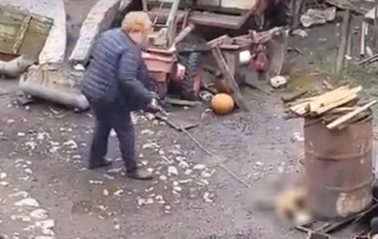 U Srbiji nasmrt pretukla štene štapom, nastavila ga udarati i kad je uginulo