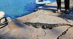 "Ljudi moji zar je i to moguće": Na jednom našem otoku snimljen krokodil na rivi