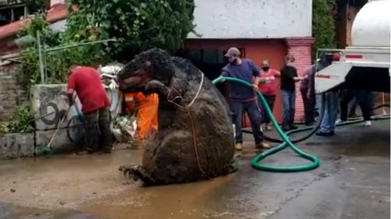 Radnici čistili kanalizaciju, ostali šokirani otkrićem "gigantskog štakora"