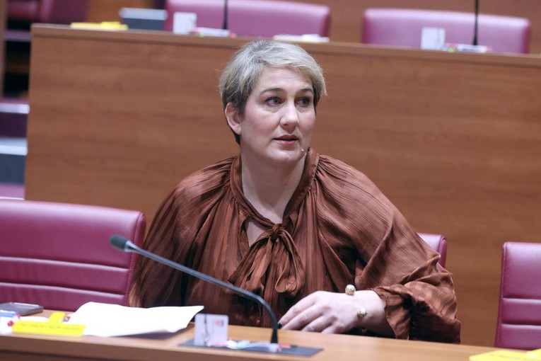 SDP-ovka o Thompsonu kod Šubićevca: Nije stvar ljevice ni desnice, već civilizacije