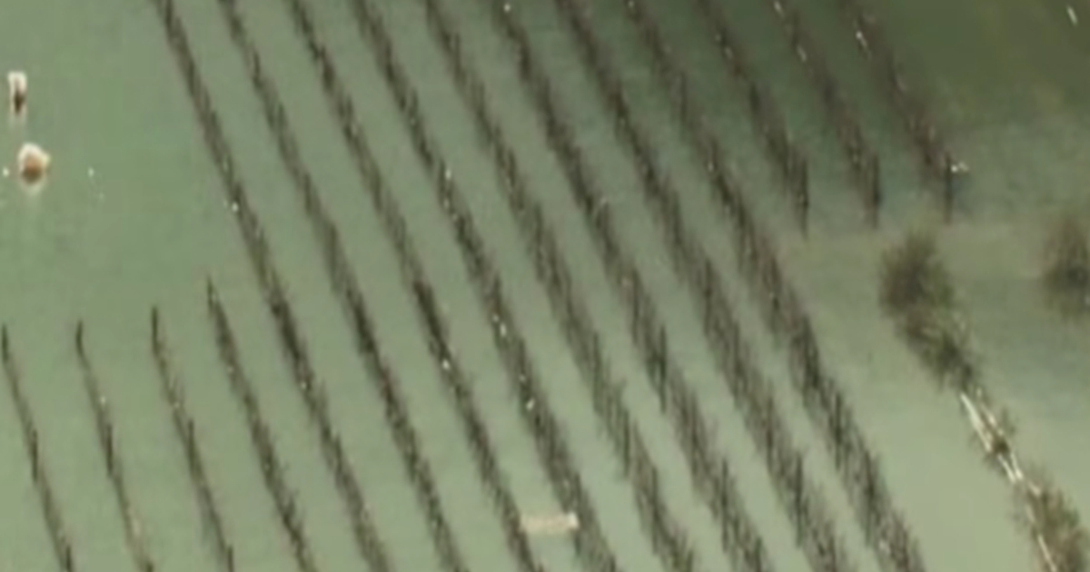 Poplave kod Vrgorca. Ceste pod vodom, pojačane migracije životinja