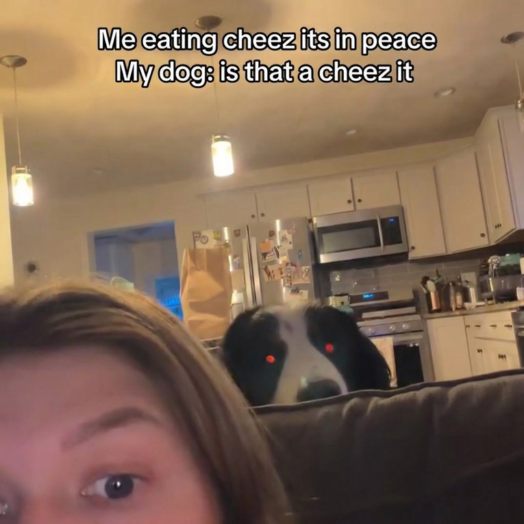 Pas se prišuljao vlasnici dok je jela i postao internetski hit