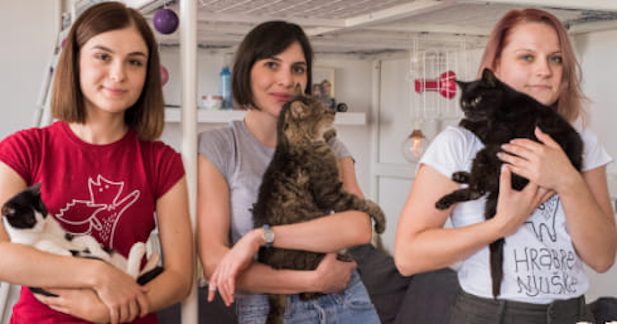 Duguju preko 25.000 kuna zato što spašavaju napuštene ljubimce, pomozimo im