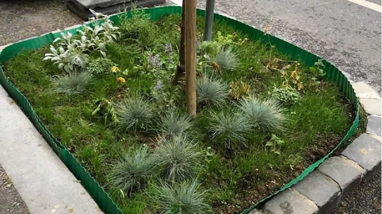 U centru Zagreba zasadili su mini-vrt. Netko ih je tužio Gradu, želi da sve počupaju