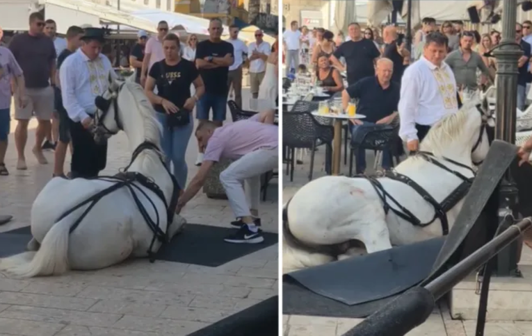 VIDEO Konji se poskliznuli i pali usred Sinja