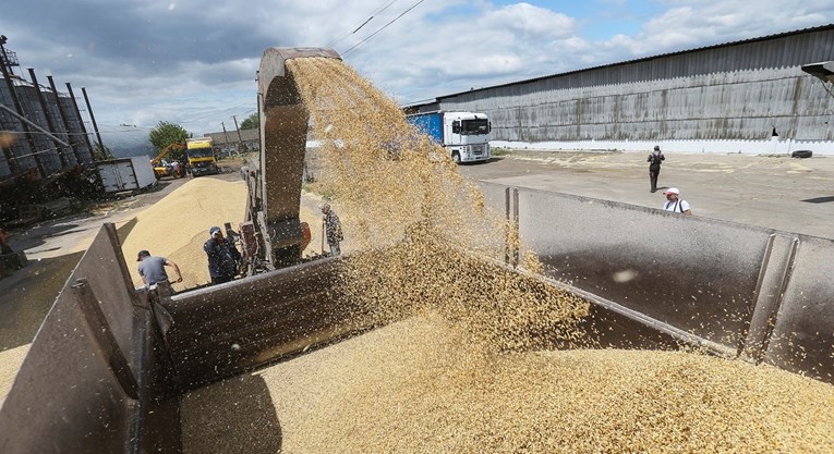 Ukrajina: Izvoz žitarica u lipnju je 44 posto manji nego prošle godine
