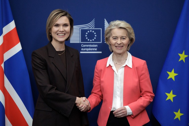 Island odlučuje o ulasku u EU. Francuski ministar: "Nemaju što izgubiti"