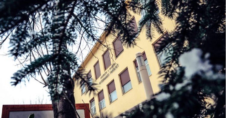 Dekan Veterine: Profesor optužen za seksualno uznemiravanje je počinio tešku povredu