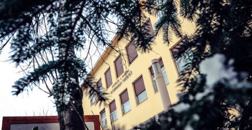 Dekan Veterine: Profesor optužen za seksualno uznemiravanje je počinio tešku povredu