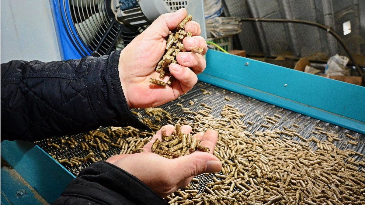 BiH zabranjuje izvoz oblovine, drveta i peleta da bi zaustavila poskupljenja