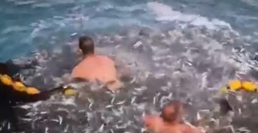 VIDEO Riječki ribari spasili dupina koji se zapleo u mrežu, pogledajte snimku