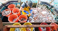 Uskoro sporazum EU i Velike Britanije, kratka odgoda zbog ribarstva