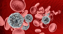 Nova visoko virulentna varijanta HIV-a otkrivena u Nizozemskoj