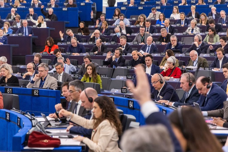 Pet zemalja EU-a: Nove članice ne bi trebale imati puno pravo glasa