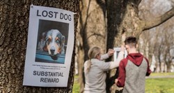 Sretan kraj: Kujica Zoey nestala prije 12 godina, sad je pronađena i vraćena vlasnici