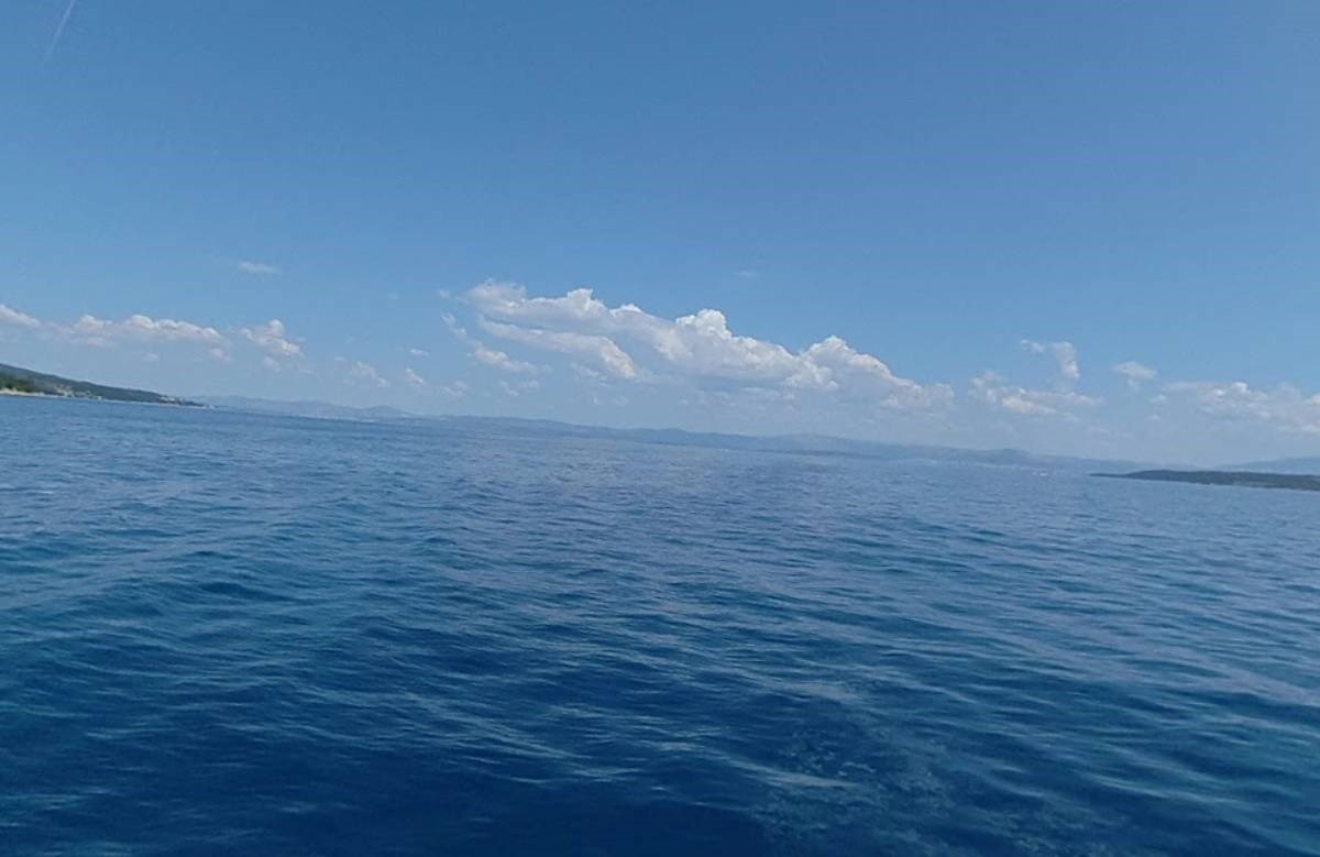 U moru kod Splita pronađen mrtvi dupin. Vjerojatno je ubijen