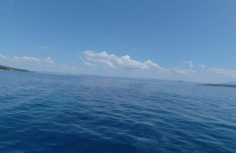 U moru kod Brača pronađen mrtvi dupin. Netko ga je vjerojatno ubio