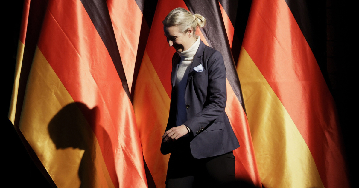 Što povijesna pobjeda AfD-a znači za Europu?