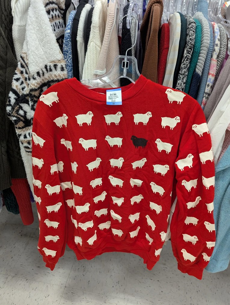 Džemper iz second handa izazvao je euforiju na internetu. Evo zašto