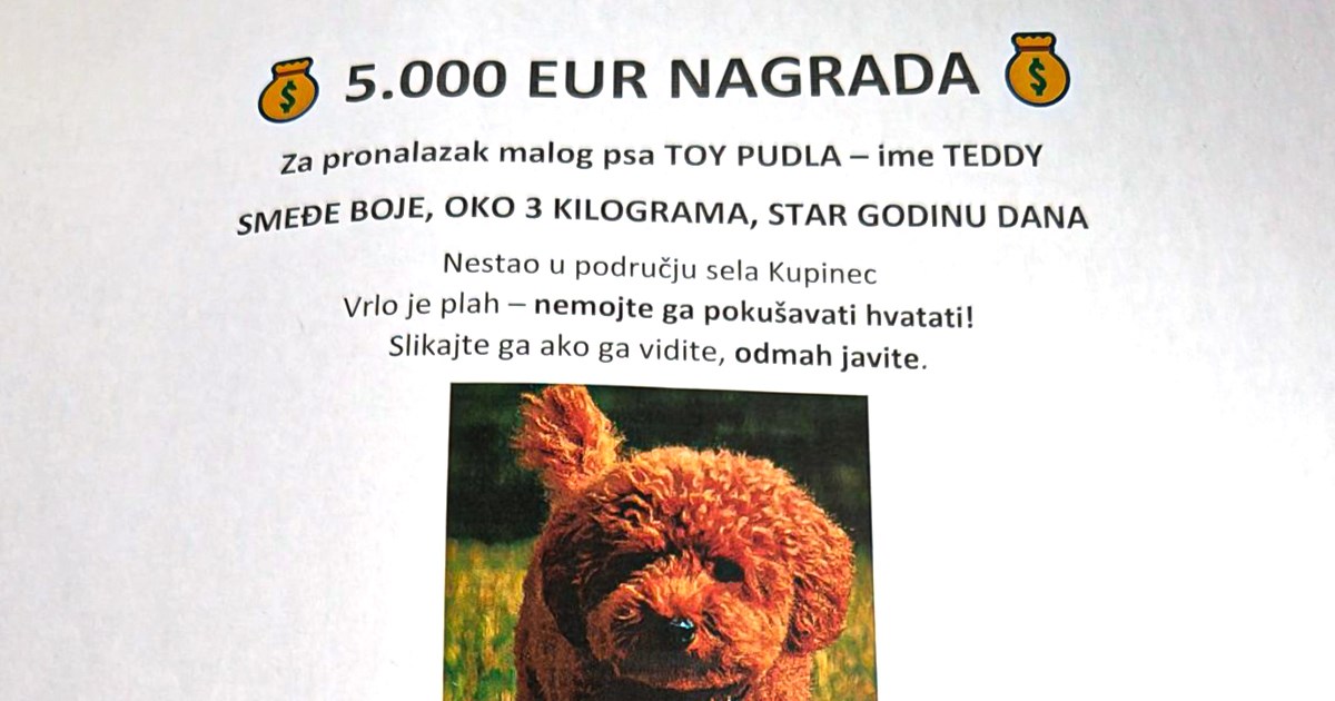 Pas Antonija Rimca nestao iz hotela za pse: "Traže ga i dronovi"