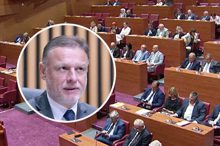 Žestoke svađe u Saboru. Njonjo SDP-ovki Ahmetović: Vi ste lopina, sram vas bilo