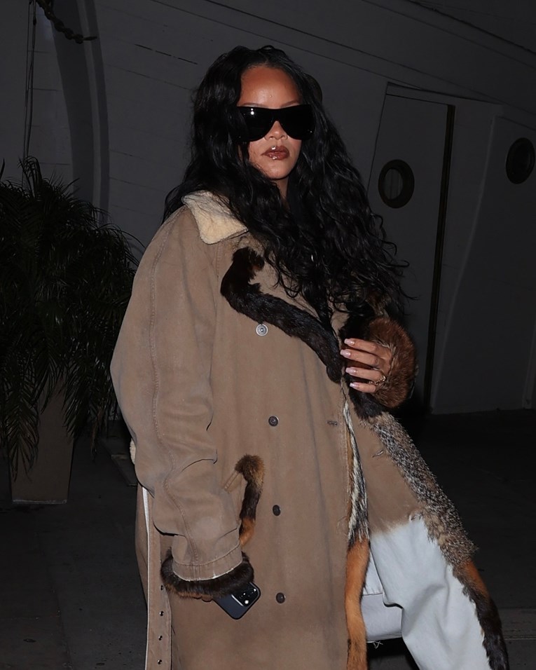 Žena koja je pucala na Rihanninu kuću uhvaćena je zbog neobičnog detalja na autu