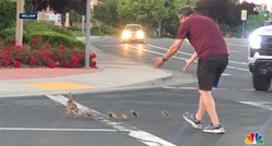 Amerikanac pregažen dok je patkama pomagao da prijeđu cestu