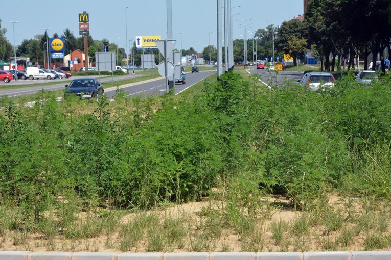 U Brodsko-posavskoj županiji nije zabilježen niti jedan novi slučaj