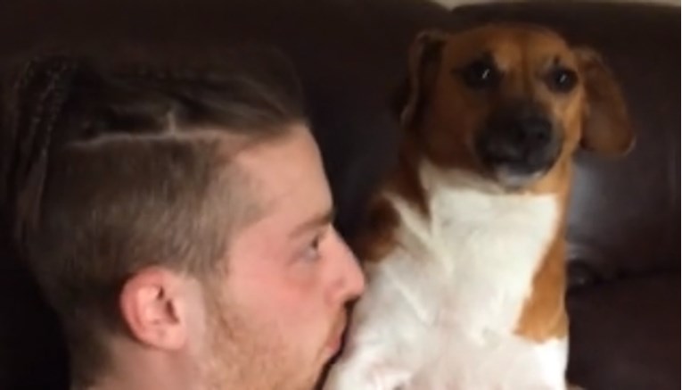 VIDEO Zbunjeni pas ima najsmješniju reakciju na golicanje