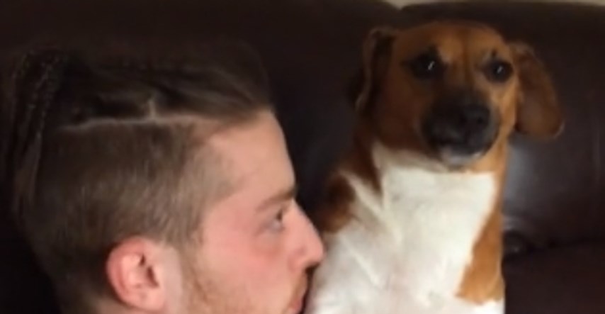 VIDEO Zbunjeni pas ima najsmješniju reakciju na golicanje