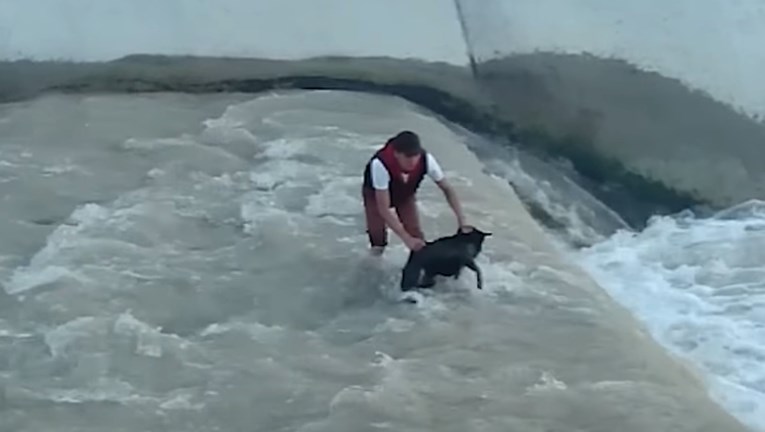 VIDEO Ovi su heroji riskirali sve kako bi spasili pse u nevolji