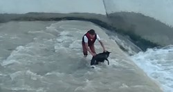 VIDEO Ovi su heroji riskirali sve kako bi spasili pse u nevolji