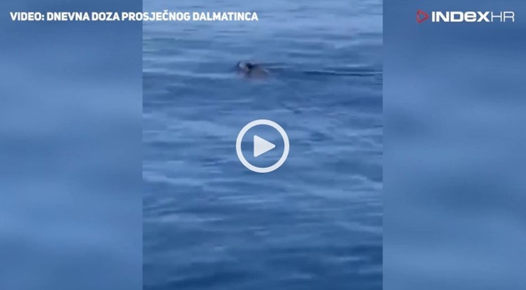 VIDEO Nakon morskog psa Dalmatinci u moru uočili novu "neman"