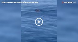 VIDEO Nakon morskog psa Dalmatinci u moru uočili novu "neman"