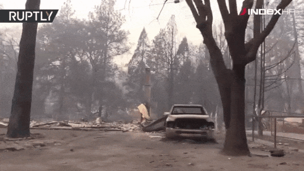 U gradu koji više ne postoji otkrivaju leševe. Najmanje 50 mrtvih u Kaliforniji