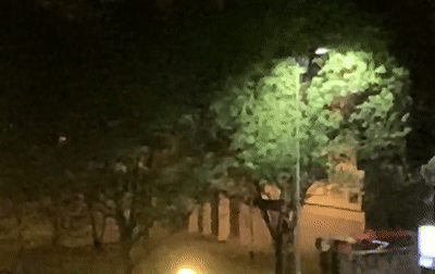 Novi udari vjetra u Zagrebu, dosad 700 intervencija i 5 ozlijeđenih