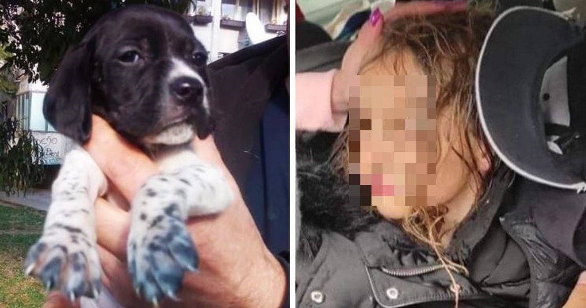 Pas cijelo vrijeme bio uz nestalu curicu u Crnoj Gori: Lizao joj je rane i grijao je