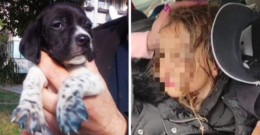 Pas cijelo vrijeme bio uz nestalu curicu u Crnoj Gori: Lizao joj je rane i grijao je