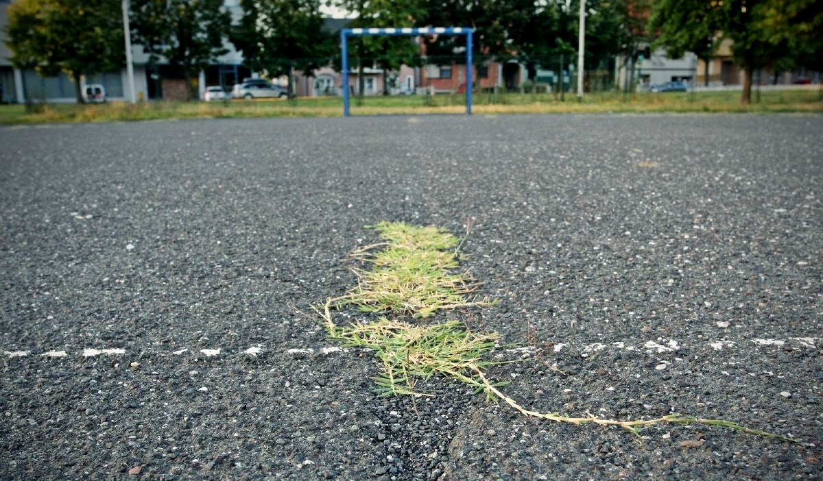 Majka dječaka (8): Sinu su stavili omču oko vrata i vukli ga po dvorištu škole