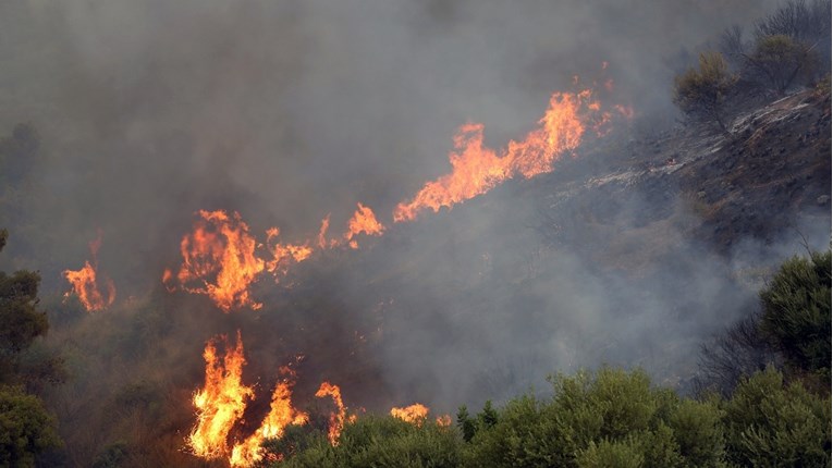 Raste broj mrtvih u požarima u Alžiru, zemlja je na udaru toplinskog vala