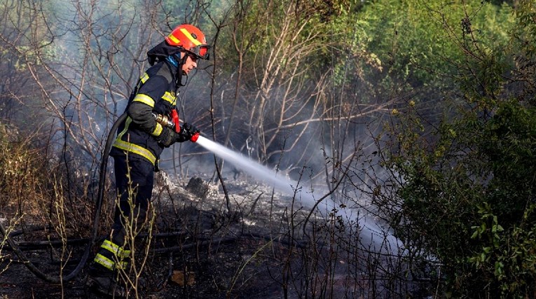Gori hrastova šuma kod Novske, požar gasi 40 vatrogasaca