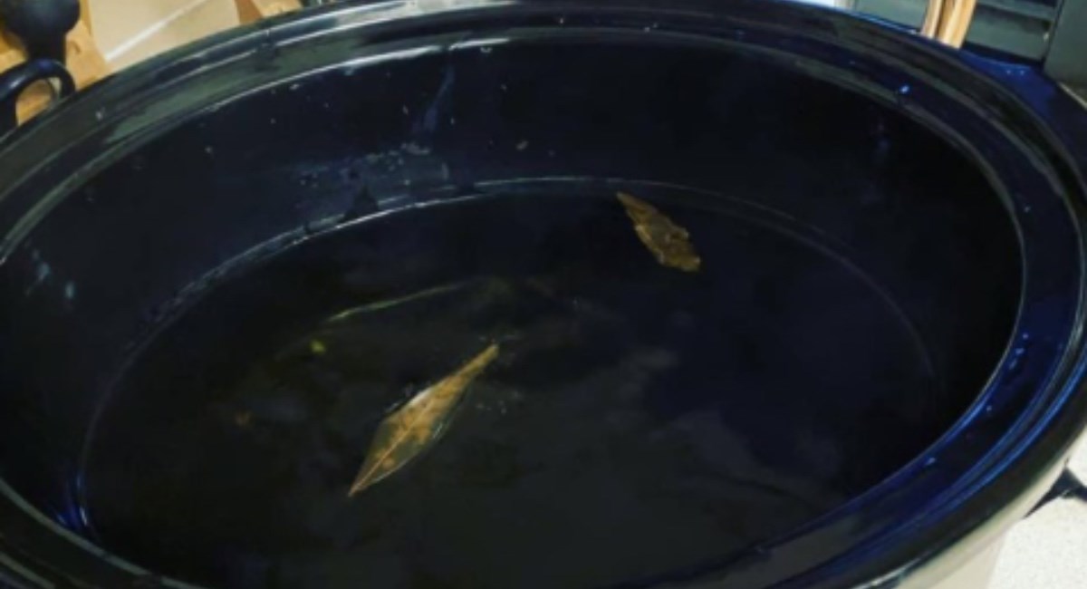 Mama zaboravila dodati sastojke u kuhalo pa servirala lovorov list