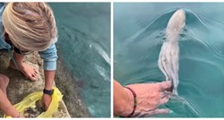Djevojka otkupila životinje od ribara pa ih vratila natrag u Jadransko more