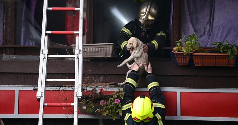 Javila se mama malenog vlasnika psa spašenog iz požara u Zagrebu: Tisuću puta hvala