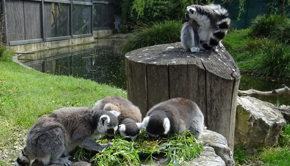 Ovako se Uskrs proslavio u Zoološkom vrtu grada Zagreba