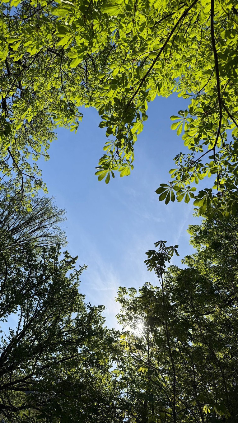 Ljubav je svuda oko nas. Dokaz je fotka snimljena danas u Zagrebu