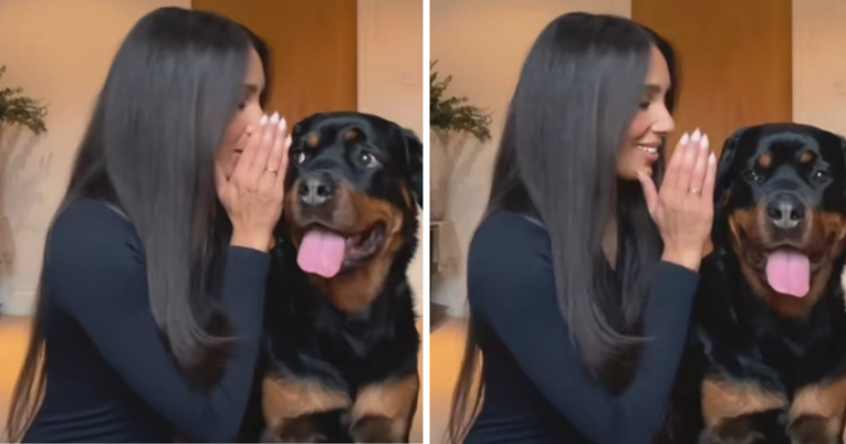 Tri milijuna pregleda: Šapnula rotvajleru njegovu najmržu riječ, reakcija psa je hit