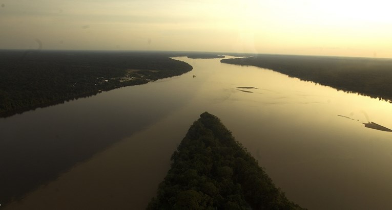 Više od 10 tisuća vrsta biljaka i životinja u Amazonskoj prašumi prijeti izumiranje